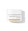 Dr Hauschka Lip Balm (4.5 ml)