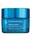 Dr Dennis Gross Hyaluronic Marine Oil-Free Moisture Cushion