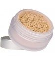 Juice Beauty Blemish Clearing Powder