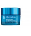 Dr Dennis Gross Hyaluronic Marine Oil-Free Moisture Cushion