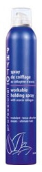 Phyto Professional Workable Holding Spray